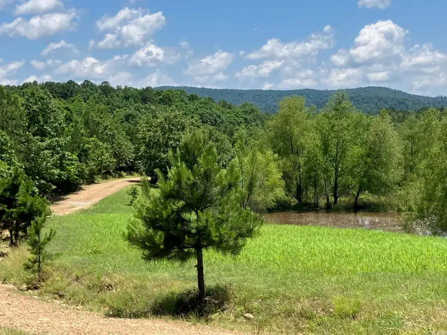 TBD Tract 4 Thompson Creek Lane Lane, Mena, AR 71953 - #3