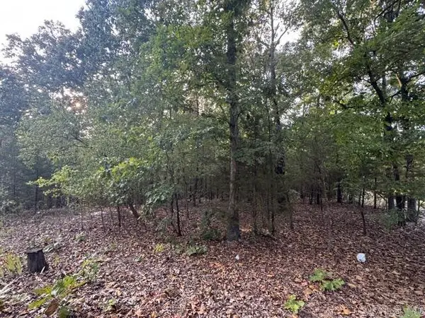 319 Bruce Mitchell Road, Ravenden Springs, AR 72460