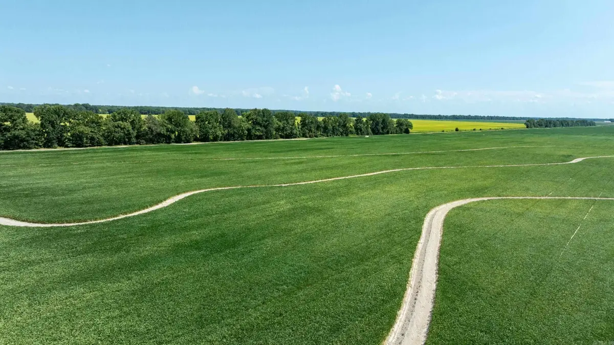 County Road 136, Hickory Ridge, AR 72347 - #1