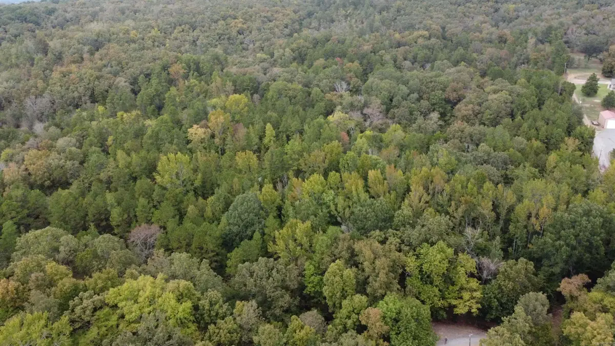 00 Heath Lane, Greenbrier, AR 72058 - #1