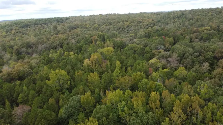 00 Heath Lane, Greenbrier, AR 72058 - #2
