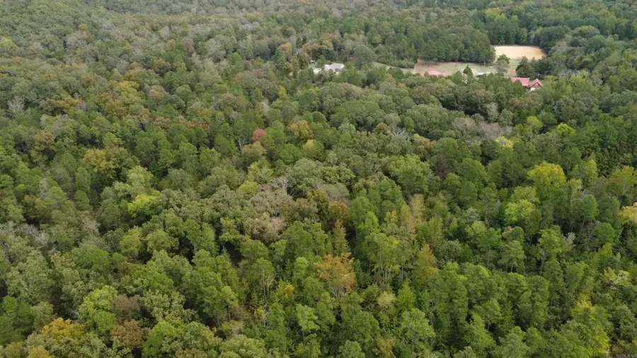 00 Heath Lane, Greenbrier, AR 72058 - #3