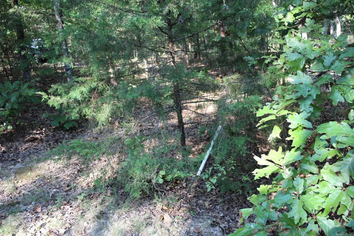 Lot 38 Jeb Road, Flippin, AR 72634 - #1