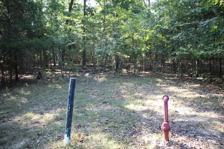 Lot 38 Jeb Road, Flippin, AR 72634 - #2