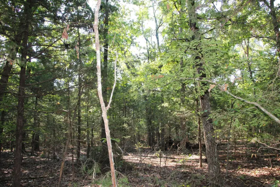 Lot 38 Jeb Road, Flippin, AR 72634 - #3