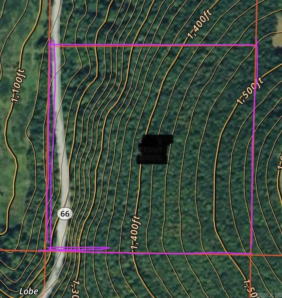000 Hwy 66 W, Mountain View, AR 72560 - #1