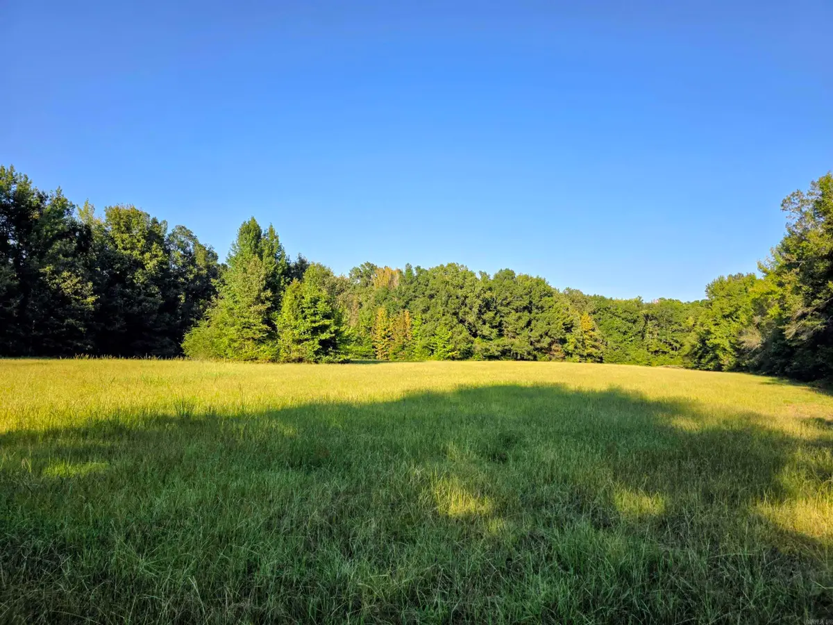 000 Rodgers Rd, Rison, AR 71665 - #1