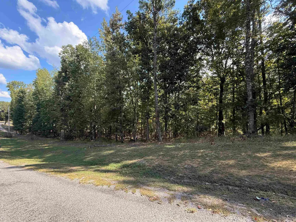 TBD Reed Road, Alexander, AR 72002 - #1