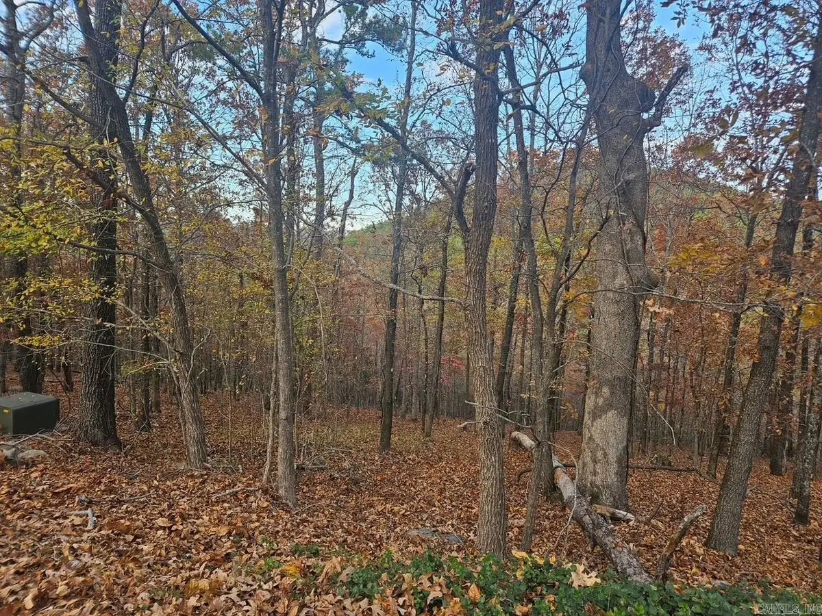 43 Binefar Way, Hot Springs Village, AR 71909 - #1
