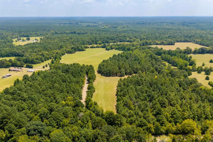 TBD 24Ac Tract Shandy Road, Arkadelphia, AR 71923 - #3