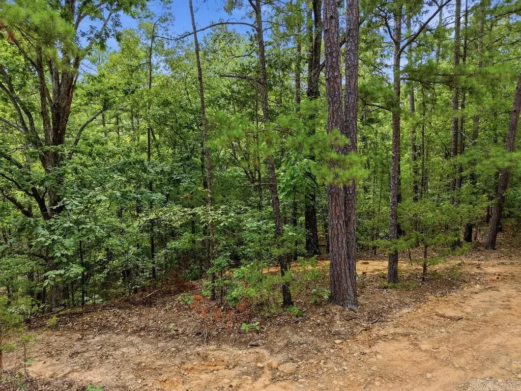 29 Jerry Lane, Quitman, AR 72131 - #1