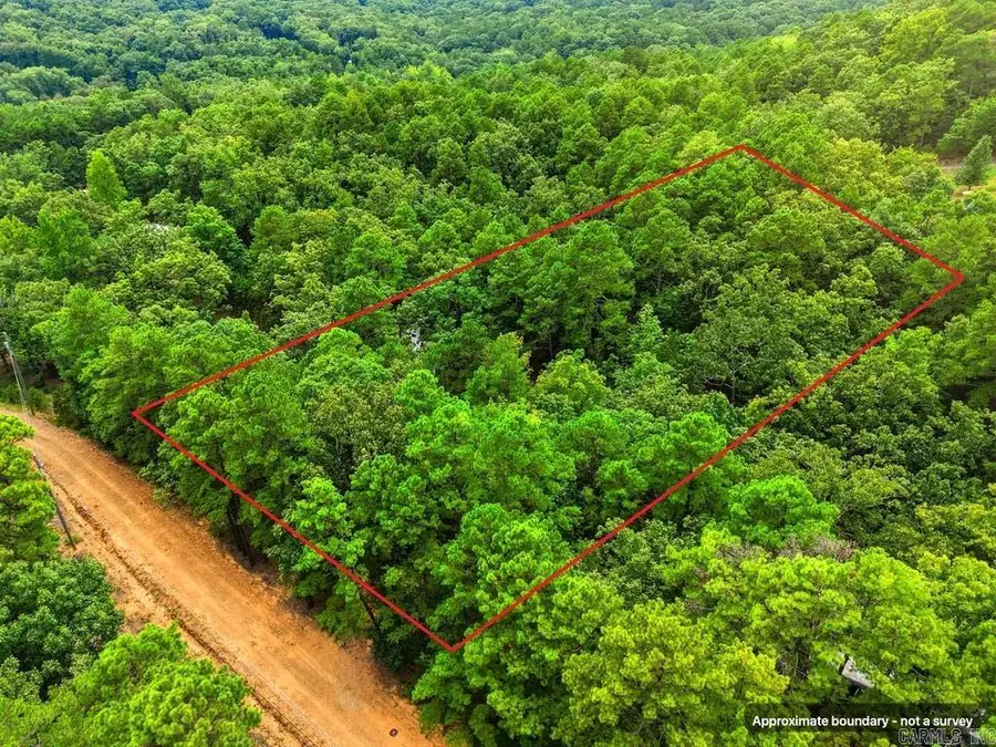 29 Jerry Lane, Quitman, AR 72131 - #3