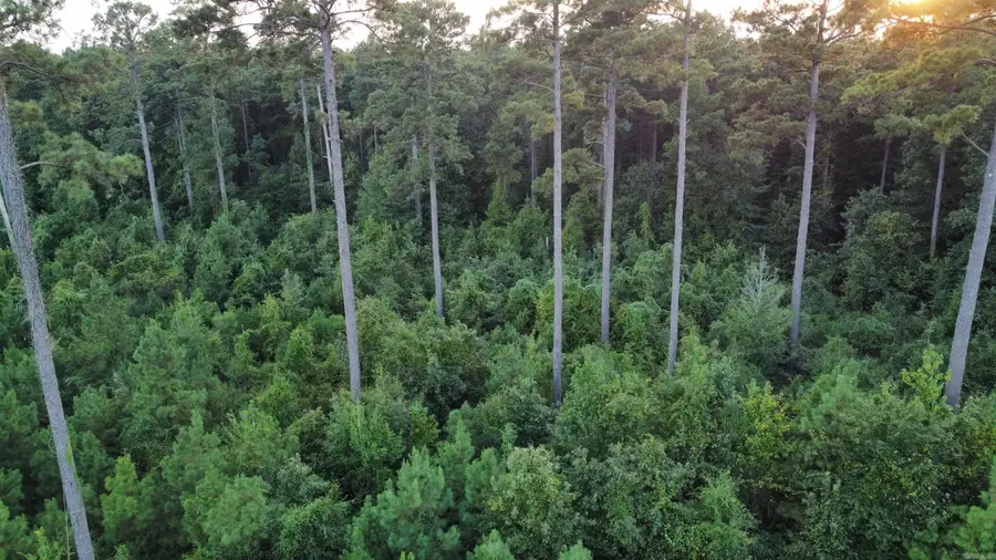 000 County Road 319 Road, Fountain Hill, AR 71642 - #3