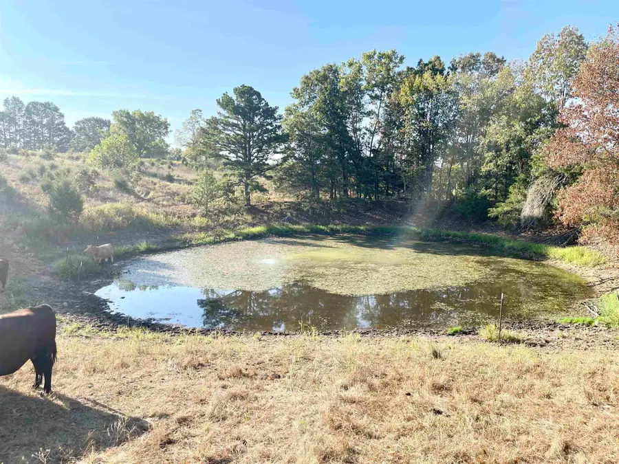 3169 Fairview Road, Salem, AR 72576 - #3