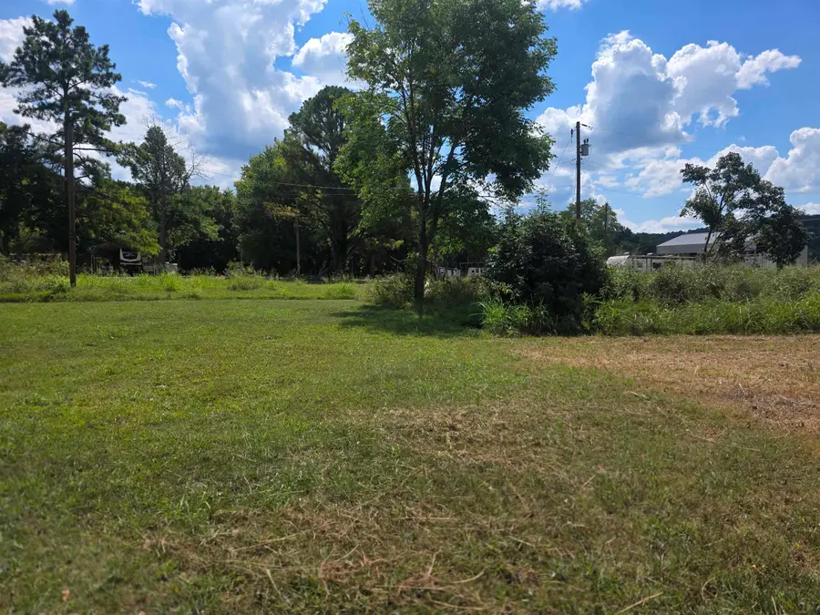 TBD Driftwood Road, Hardy, AR 72542 - #2
