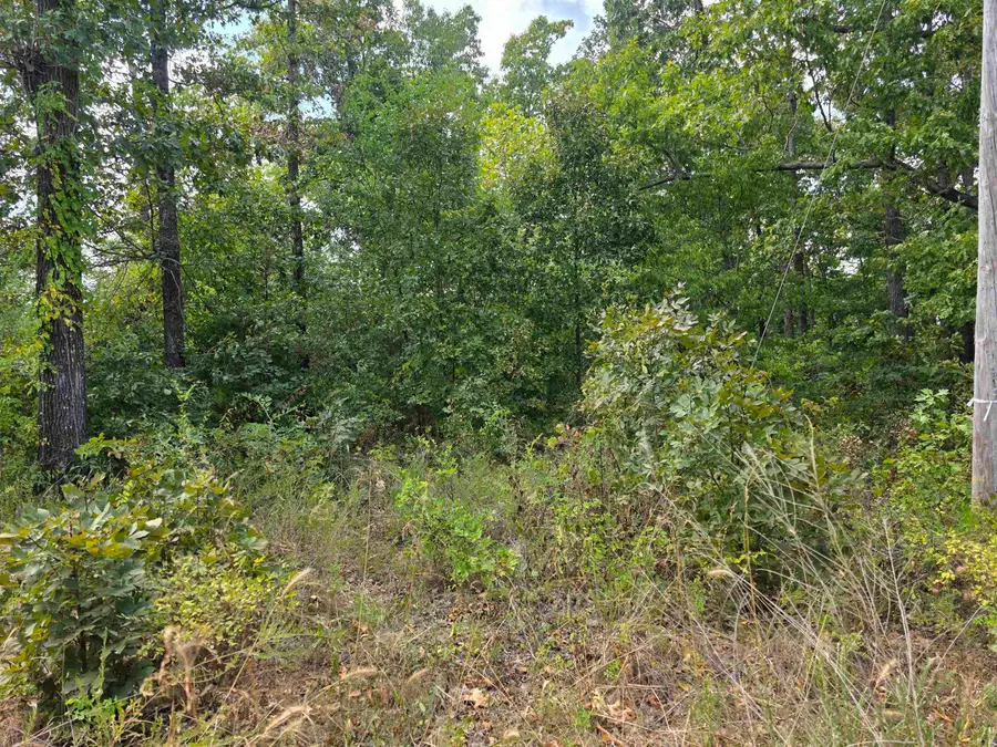 N/2 L-10 B-3 Tucker Road, Hardy, AR 72542 - #3