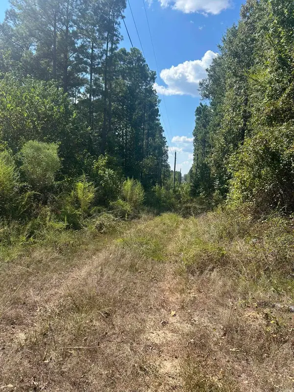 TBD Nevada 290, Prescott, AR 71857