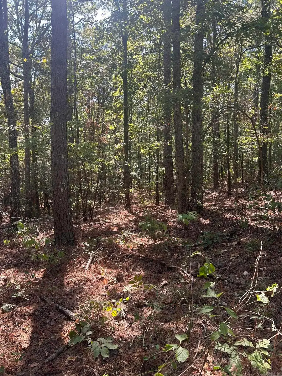 TBD Nevada 290, Prescott, AR 71857 - #2