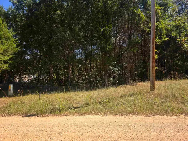 L31 B1 Adam Drive, Highland, AR 72542