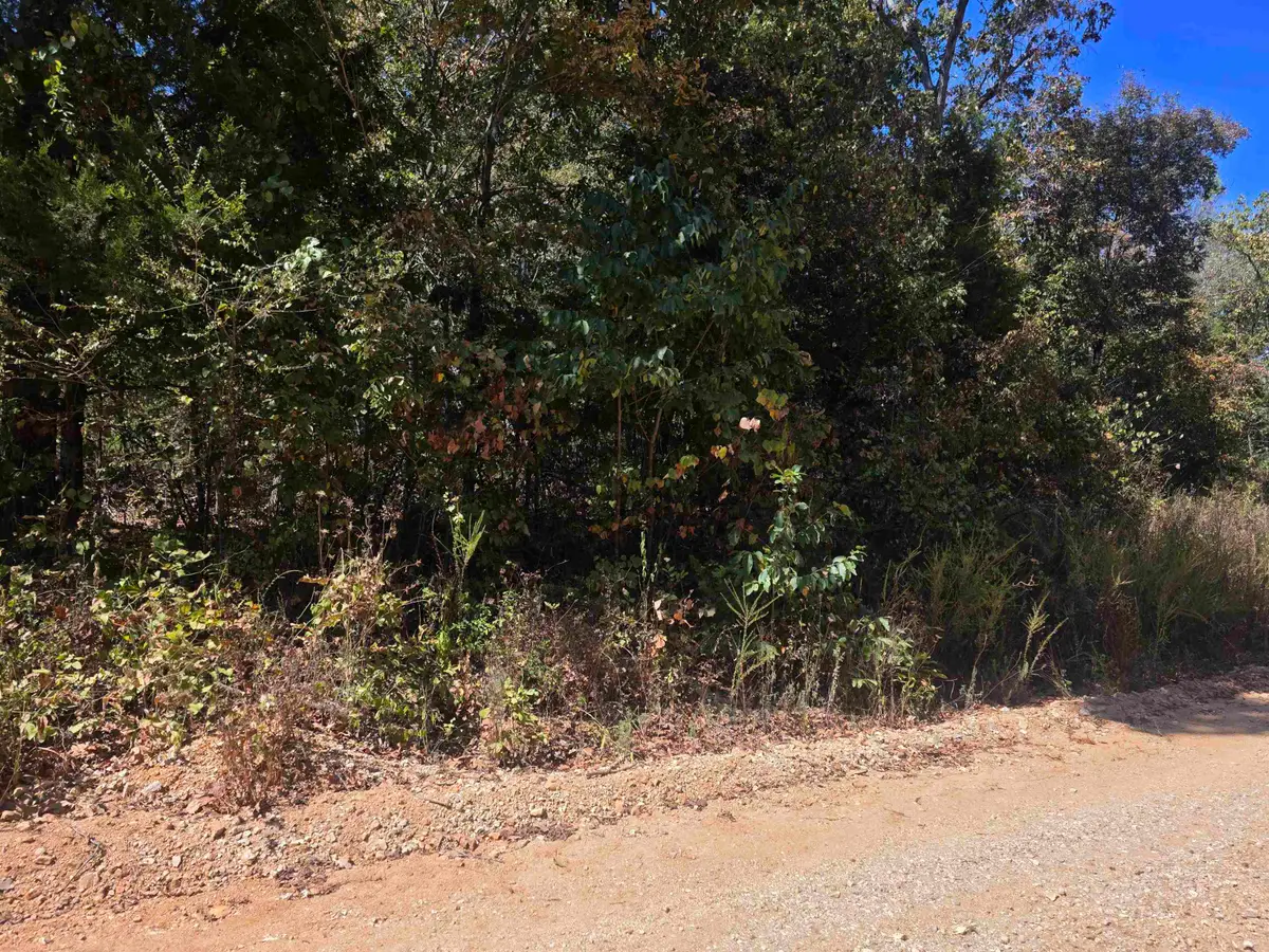 L-1, B-1 Northwood Drive, Highland, AR 72542 - #1