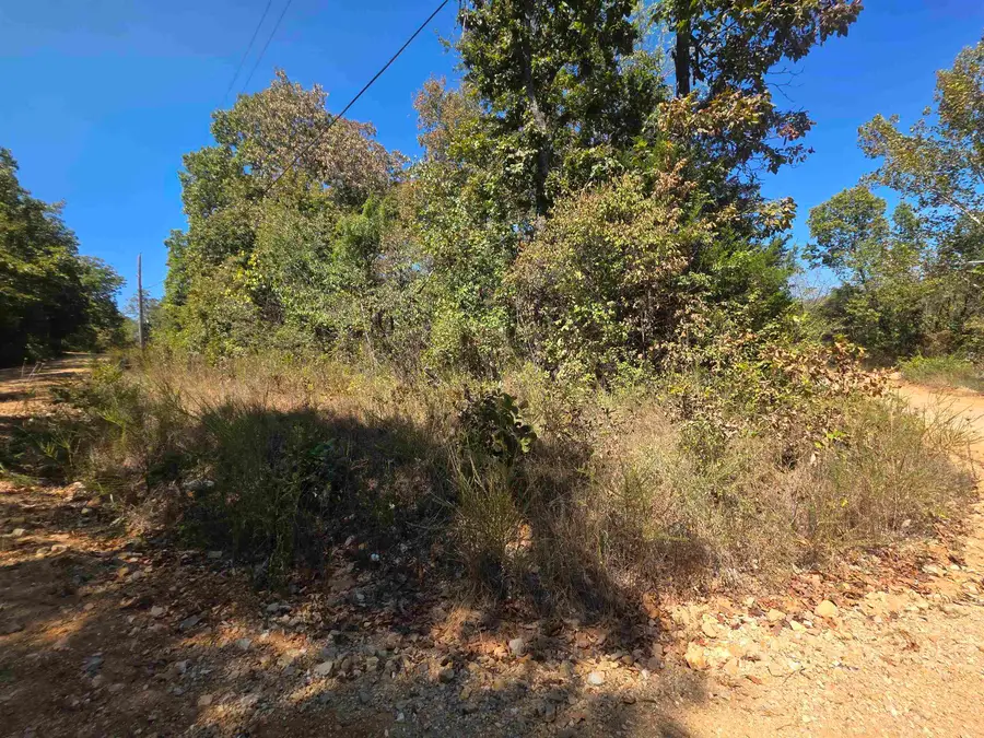 L-1, B-1 Northwood Drive, Highland, AR 72542 - #3