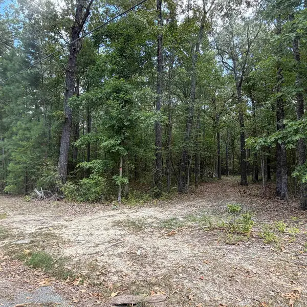 10200 Grant 75, Sheridan, AR 72150