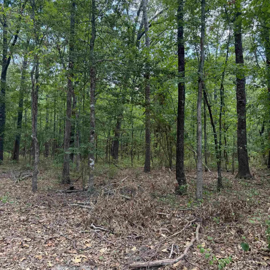 10200 Grant 75, Sheridan, AR 72150 - #3