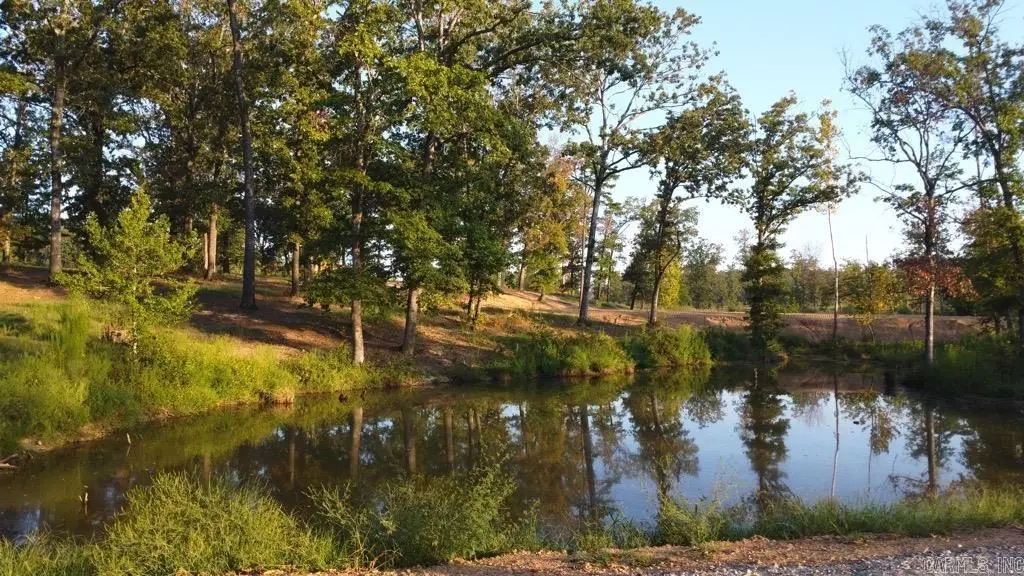 TBD (Tract 04) Gran's Way, Story, AR 71970 - #1
