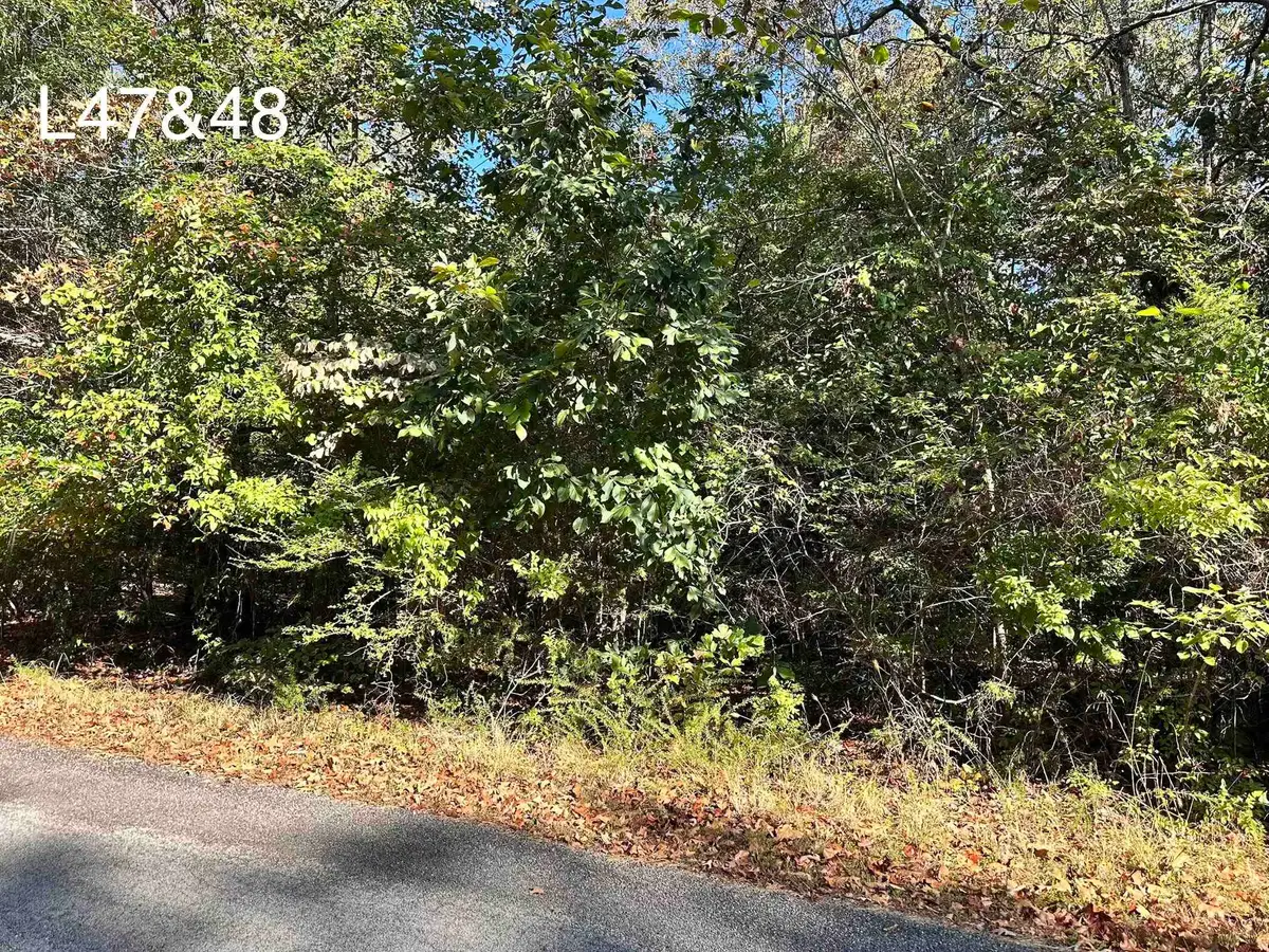 TBD Poteau Drive, Cherokee Village, AR 72529 - #1
