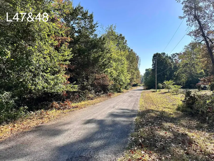 TBD Poteau Drive, Cherokee Village, AR 72529 - #2