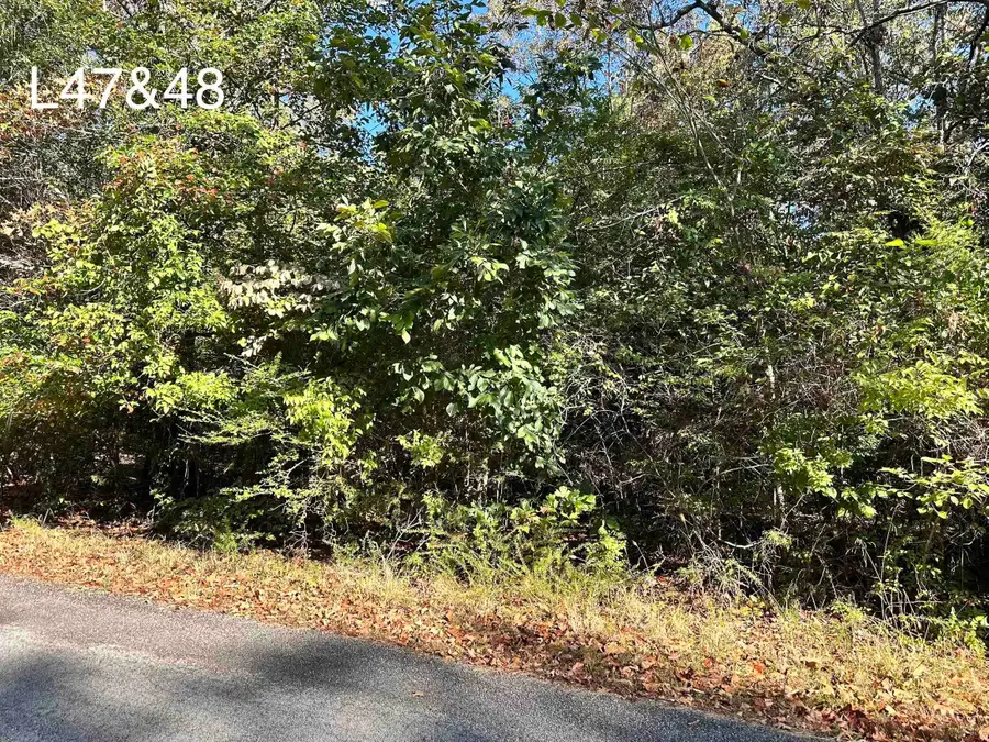 TBD Poteau Drive, Cherokee Village, AR 72529 - #3