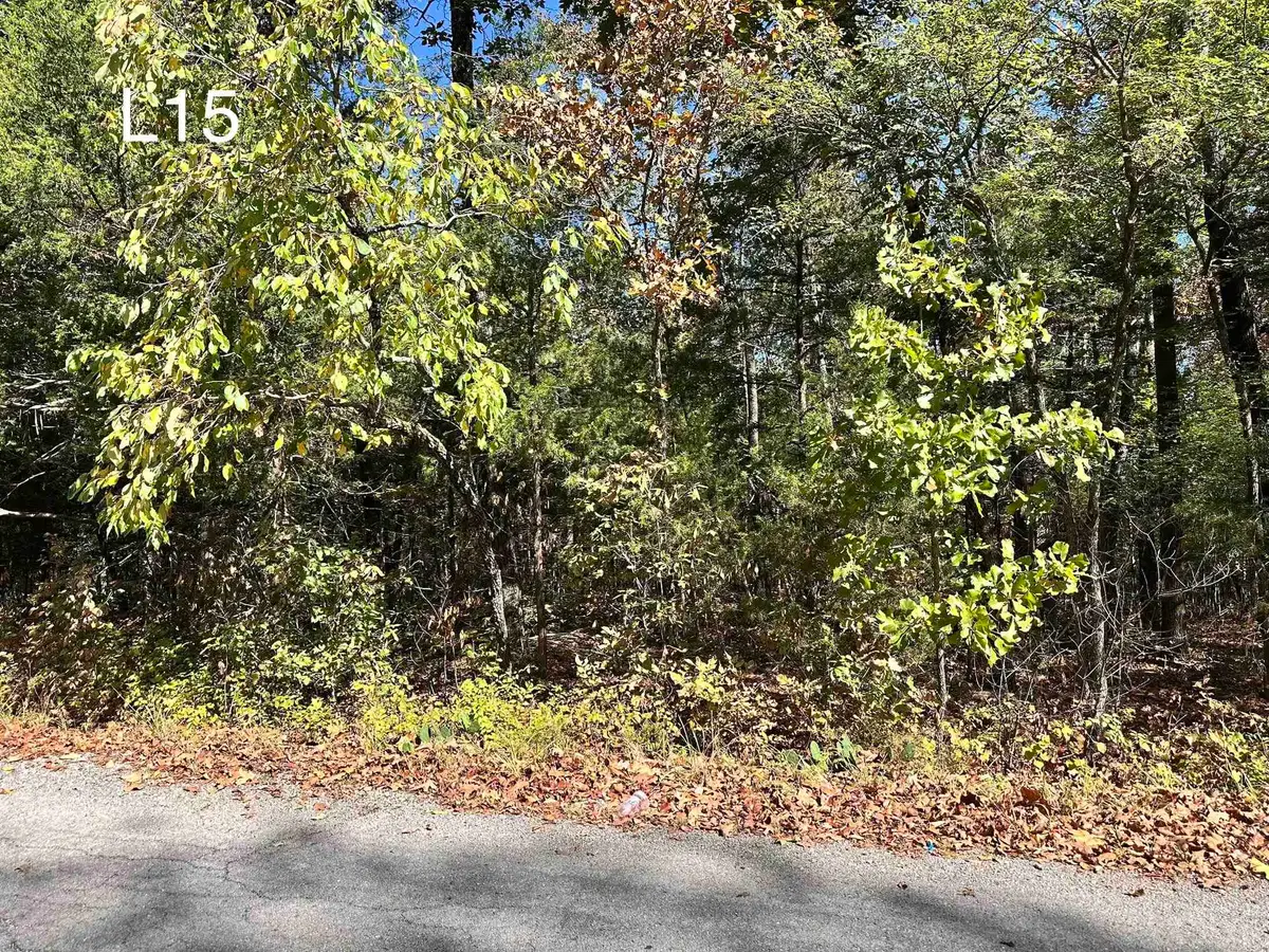 TBD Ozoo Cir Circle, Cherokee Village, AR 72529 - #1