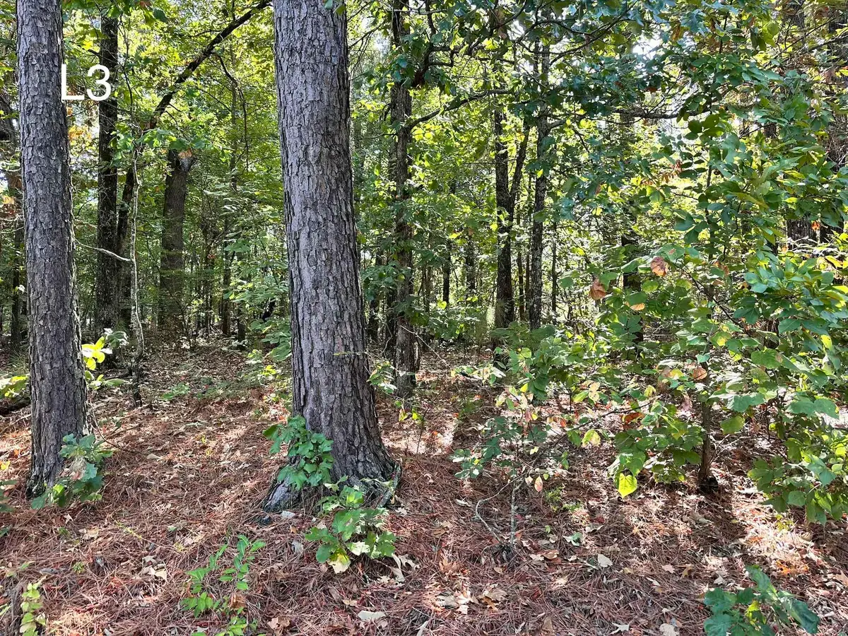 TBD Pottawattamie Dr Drive, Cherokee Village, AR 72529 - #1
