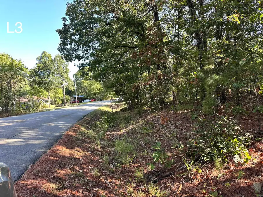 TBD Pottawattamie Dr Drive, Cherokee Village, AR 72529 - #2