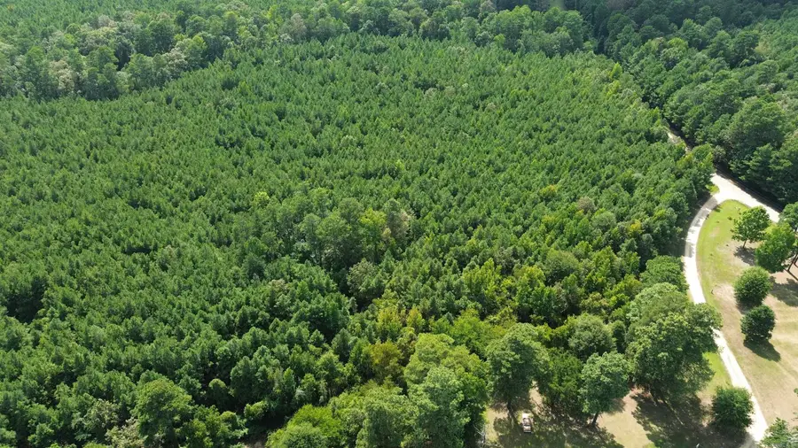 Bradley 56, Hermitage, AR 71647 - #3