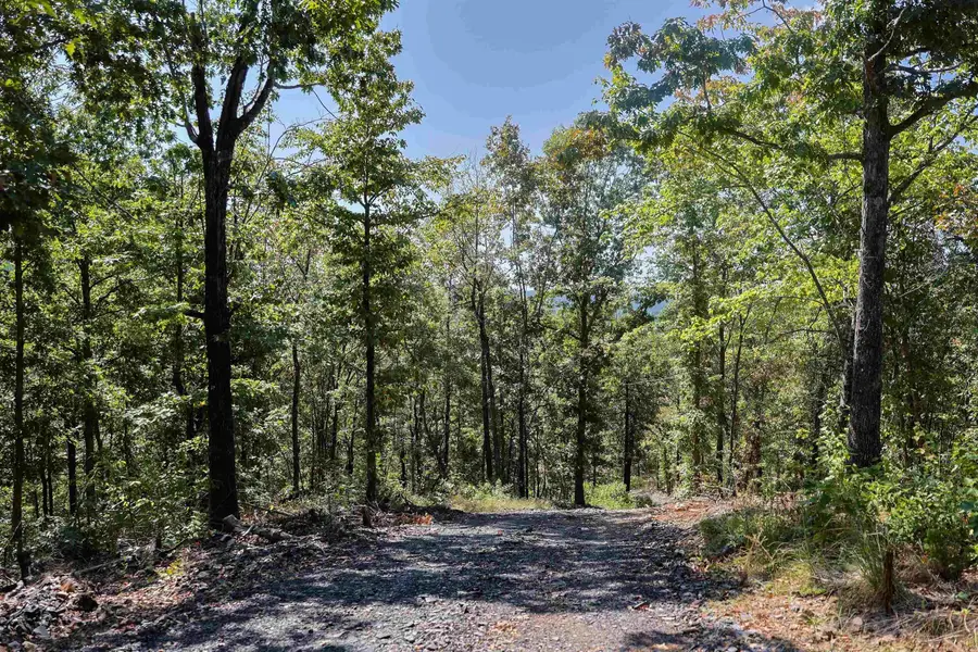 193 Hall Cemetery Road, Glenwood, AR 71943 - #2