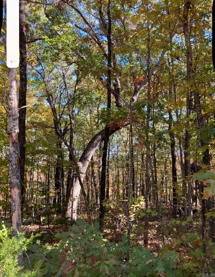 Address Withheld By Seller, Fairfield Bay, AR 72088 - #2