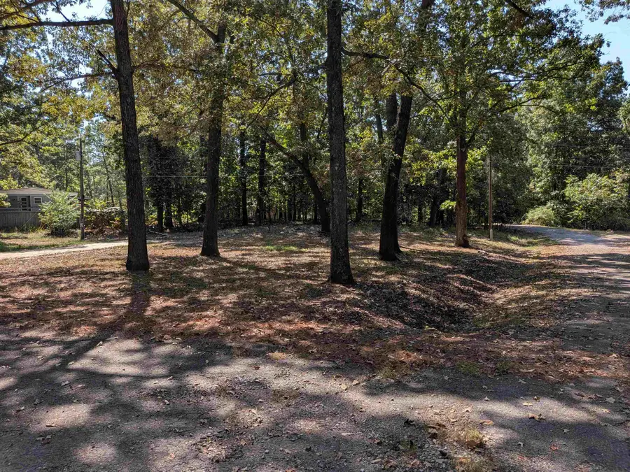10 Tewa Drive, Cherokee Village, AR 72529 - #2