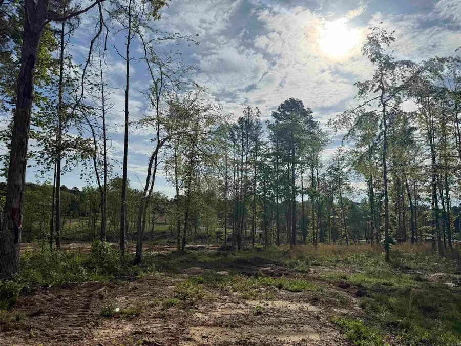 TBD Little Rock Road, Heber Springs, AR 72543 - #2