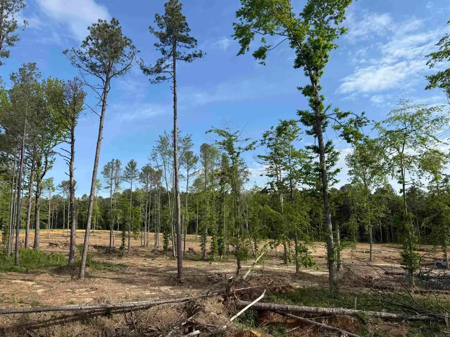 TBD Little Rock Road, Heber Springs, AR 72543 - #3