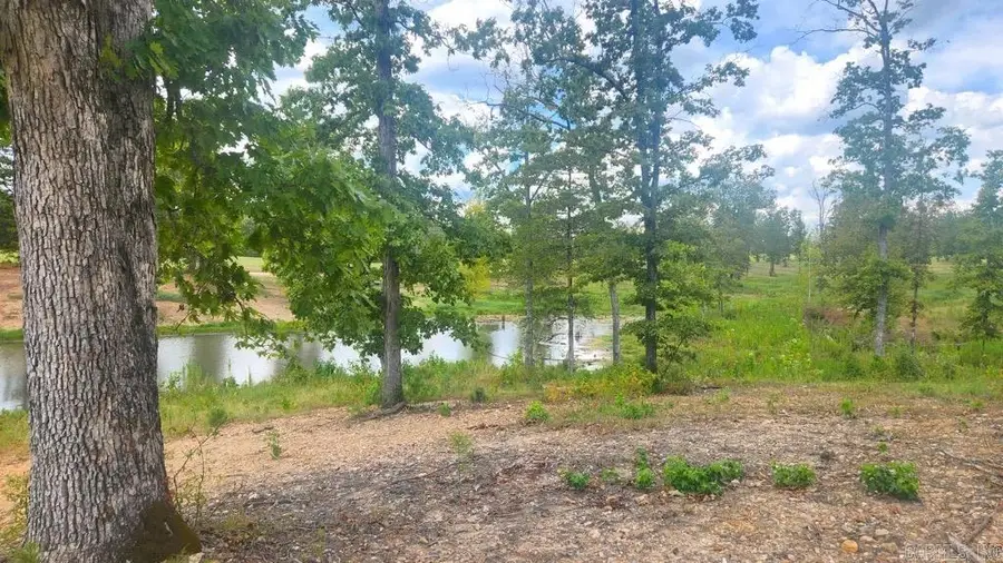 TBD (Tract 03) Wilde Pond, Story, AR 71970 - #3