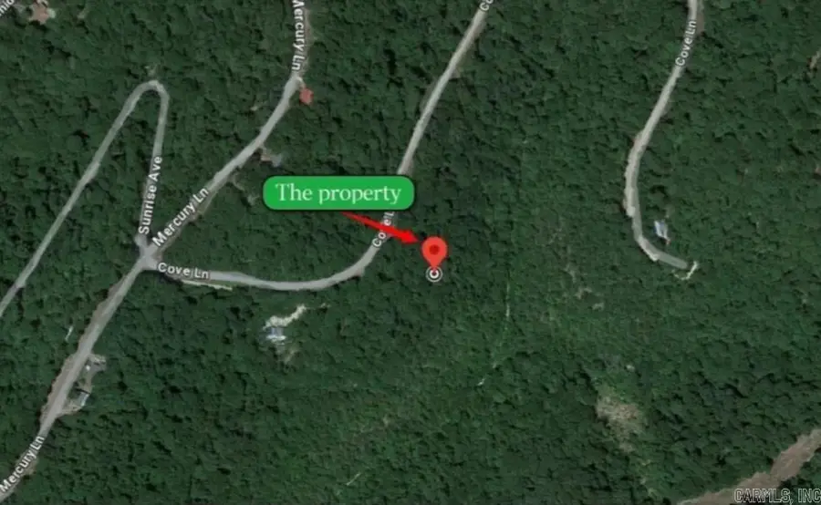 Lot 8 Cove Lane, Holiday Island, AR 72631 - #3
