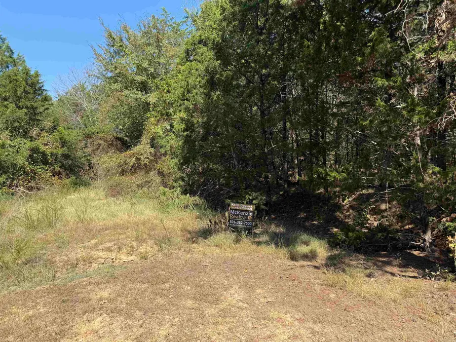 390 Wildwood Lane, Edgemont, AR 72044 - #3
