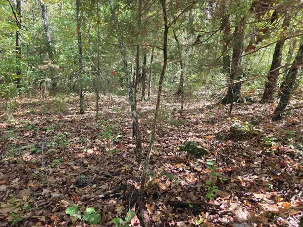 704 N Parkway Lane, Horseshoe Bend, AR 72512