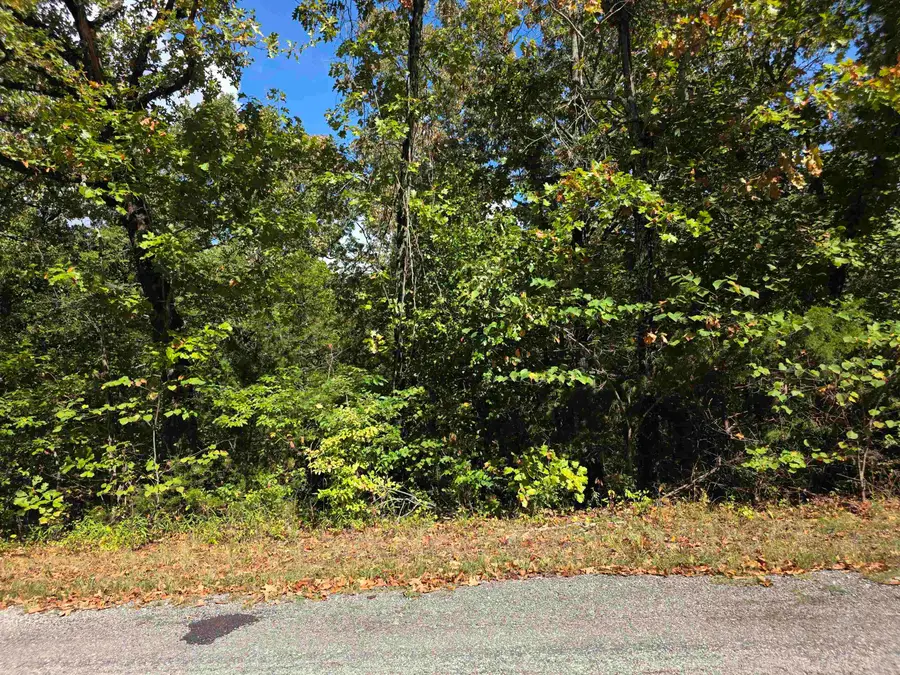704 N Parkway Lane, Horseshoe Bend, AR 72512 - #3
