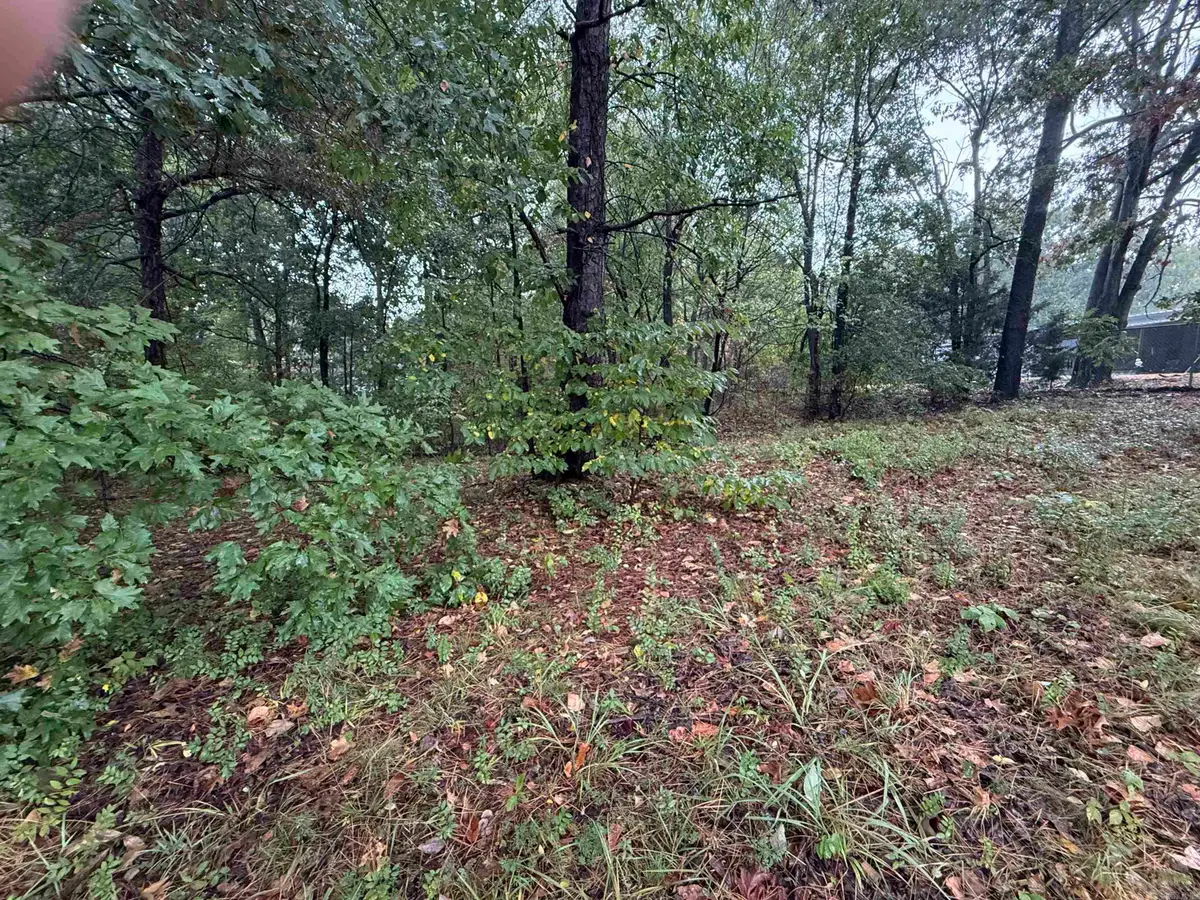 000 Mountain Home Rd, Paragould, AR 72450 - #1