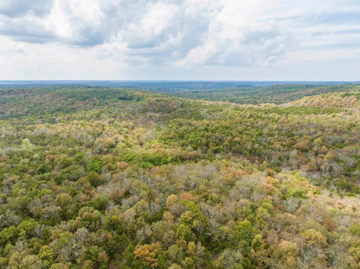 0000 Buck Ridge Lane, Williford, AR 72482 - #1