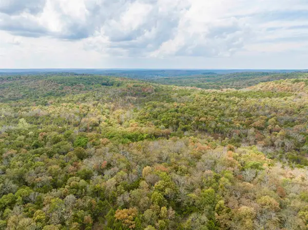 0000 Buck Ridge Lane, Williford, AR 72482