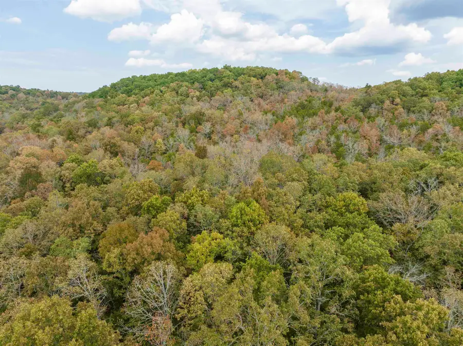 0000 Buck Ridge Lane, Williford, AR 72482 - #3