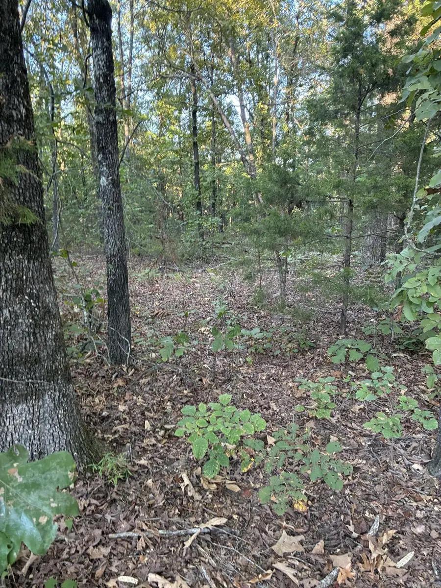 Address Withheld By Seller, Clinton, AR 72031 - #2